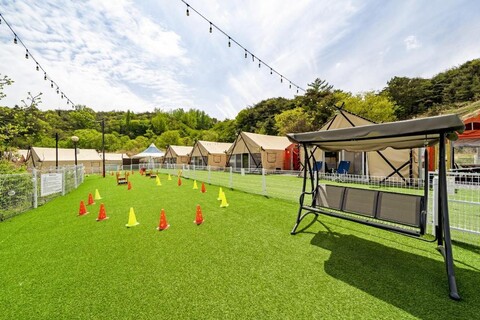 신난다 애견 글램핑