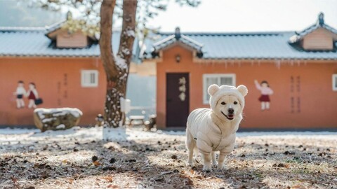 가평 아이리스 촌캉스펜션
