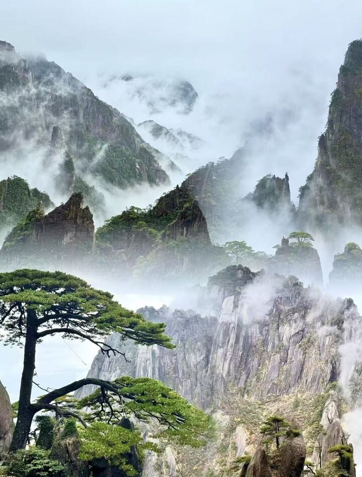 대미 황산黄山+수묵 홍촌水墨宏村+튠시 고대 거리屯溪老街-i