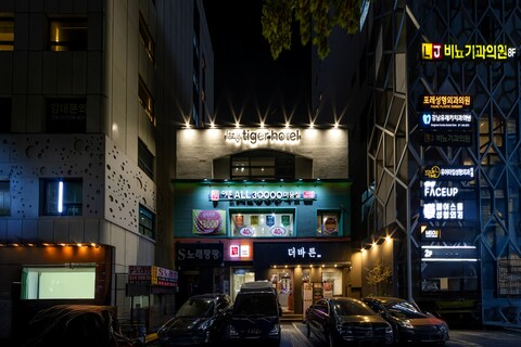 레이지타이거 호텔(lazy tiger hotel)
