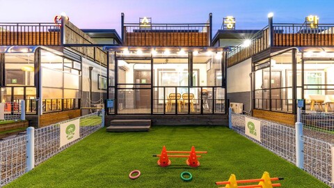 가평 댕댕이 애견 독채 펜션 퍼플