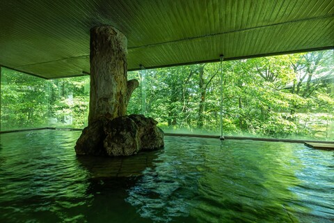 가메노이 호텔 다자와코