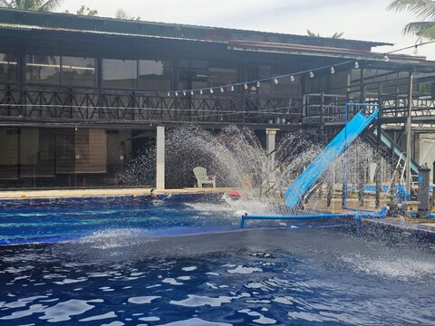 아일랜드 씨 원 리조트