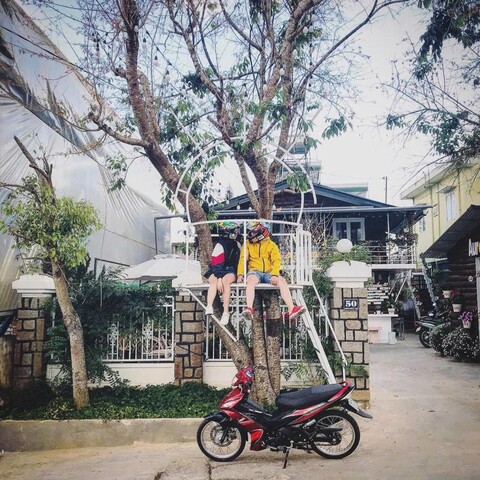 오로라 홈스테이