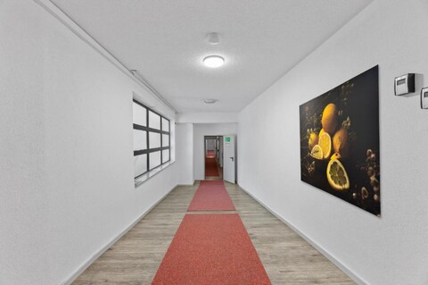 비즈니스 호텔 레몬 스위트