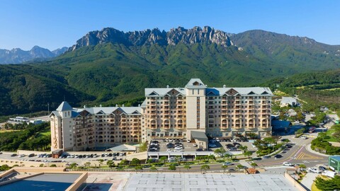 소노캄 델피노 A · B