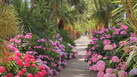 샤토 드 발메르