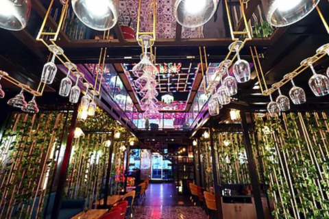 Goroomgo The Elegance Hotel Varanasi