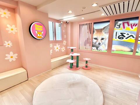 product-thumbnail-3