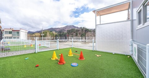 가평 댕댕이 애견 독채 펜션 퍼플