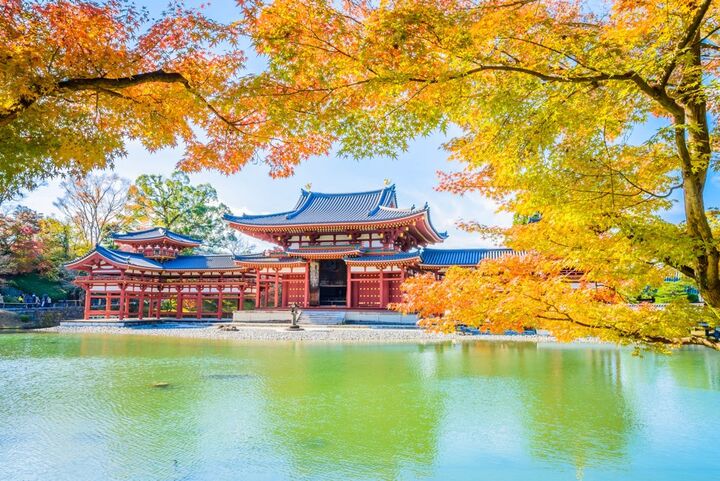 녹차 좋아하면 무조건🌿| 오사카출도착 1대당 8명 이상 ❌ 녹차 명소 소규모 일일투어-i