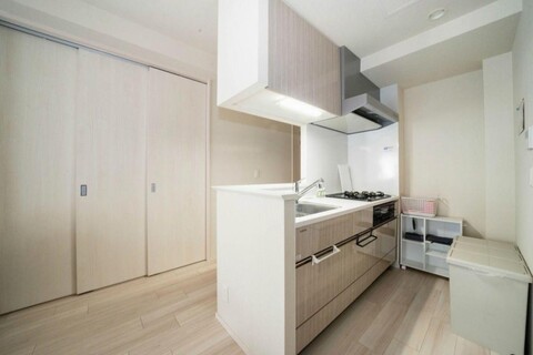 Morganite 406