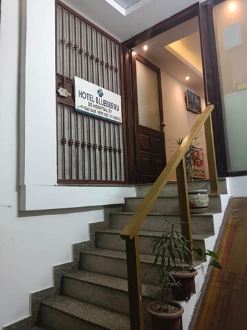 Blueberry Hauz Khas Village
