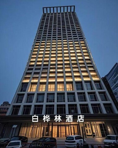 Birches Hotel (Youth Street, Shenyang Conservatory of Music Branch Hospital)