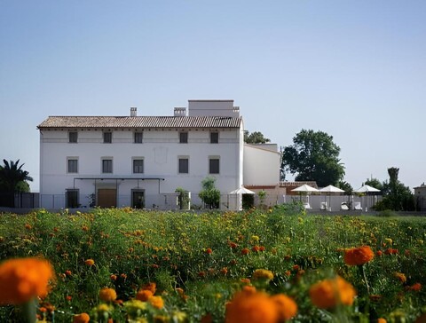 La Mozaira