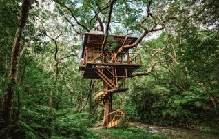 Treeful Treehouse Sustainable Resort Okinawa