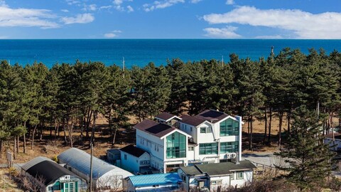 Gangneung Trip Spa Pension