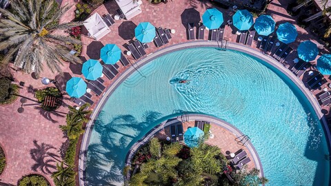 멜리아 올랜도 셀러브레이션