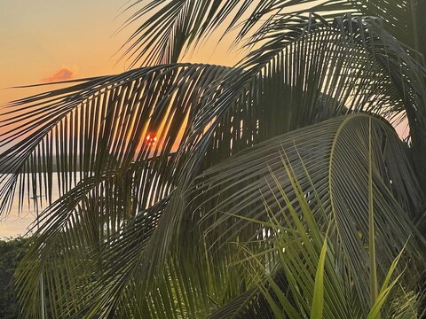 Ocean View Apartments – Delicia