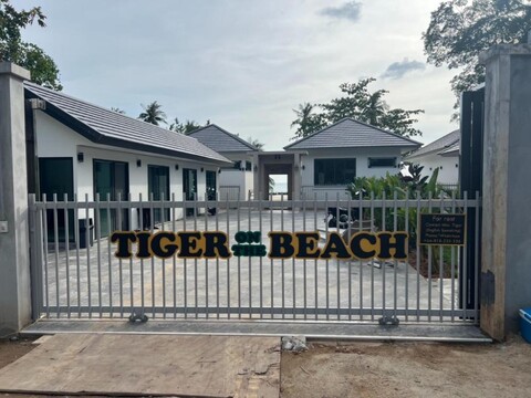 타이거 온 더 비치