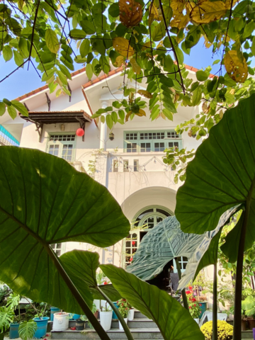 ky uc tuoi dep homestay