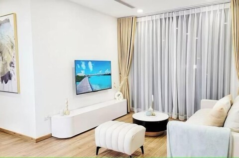 Evergreen Sky Eco Green