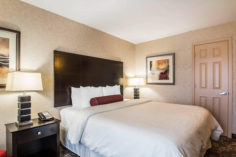 클라리온 인 엘름허스트 - 오크 브룩, I-88, I-290, I-294 근처