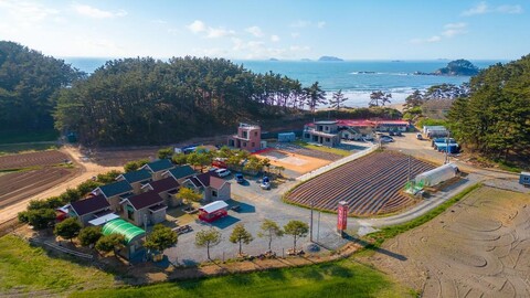 태안 한성힐링캠프 독채 펜션