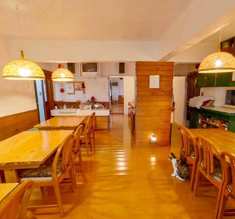 Wonderwall Japan Yuzawa