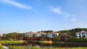 파인리즈리조트