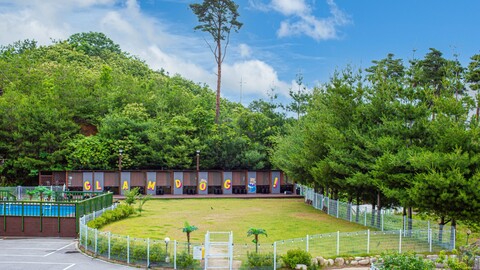 양양 글램독 애견펜션