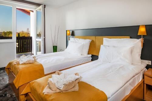 Zsóry Liget Hotel & Spa Superior-i