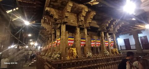 콜롬보 투어 - 콜롬보 출발: 캔디와 핀나와라 코끼리 보호소 단기 투어