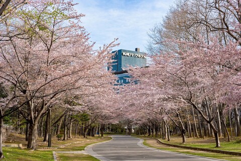 삿포로 파크 호텔