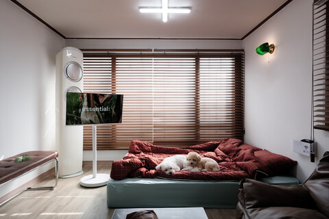 강화도 아보하애견동반펜션