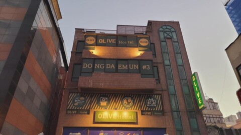 올리브 호스텔 동대문점