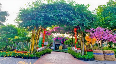 탄 다트 리조트