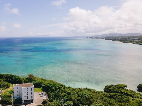 블루 스테이크 원더 세나하