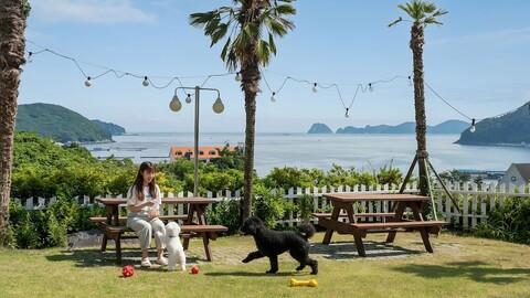 거제도 좋은데 애견동반 펜션