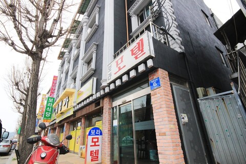 영주 보라