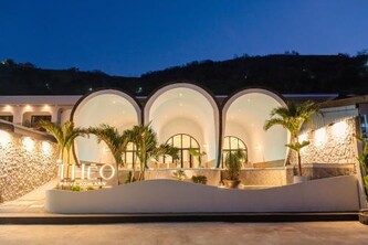 테오 프리브 코란