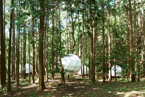 Overnight Park INN THE PARK