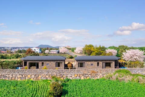 서귀포 표선돌담집