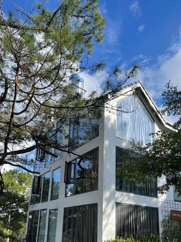 더 쿠피드 다랏 노 싱글