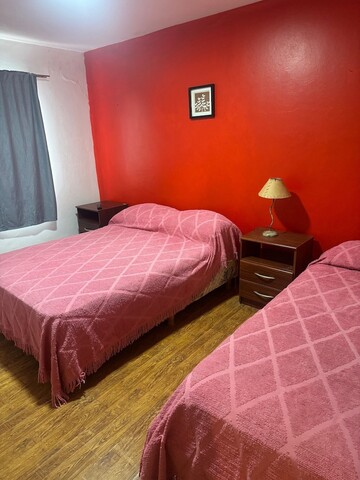 호스테리아 아이렌