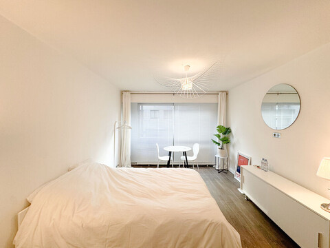 루루라라 3호점 파리 숙소 15구 에펠탑 근처 듀플렉스점 현대식 모던 아파트 독채 프랑스 숙소