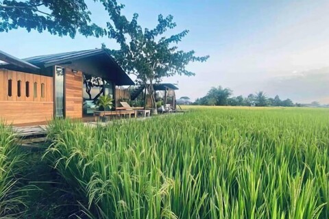 Breathe - Rice Valley