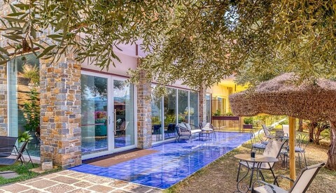 미르투스 아그로폴리