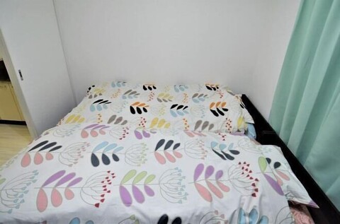 Comfort CUBE PHOENIX Miyazaki