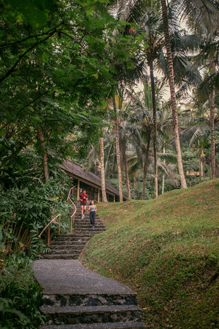 코마네카 비스마